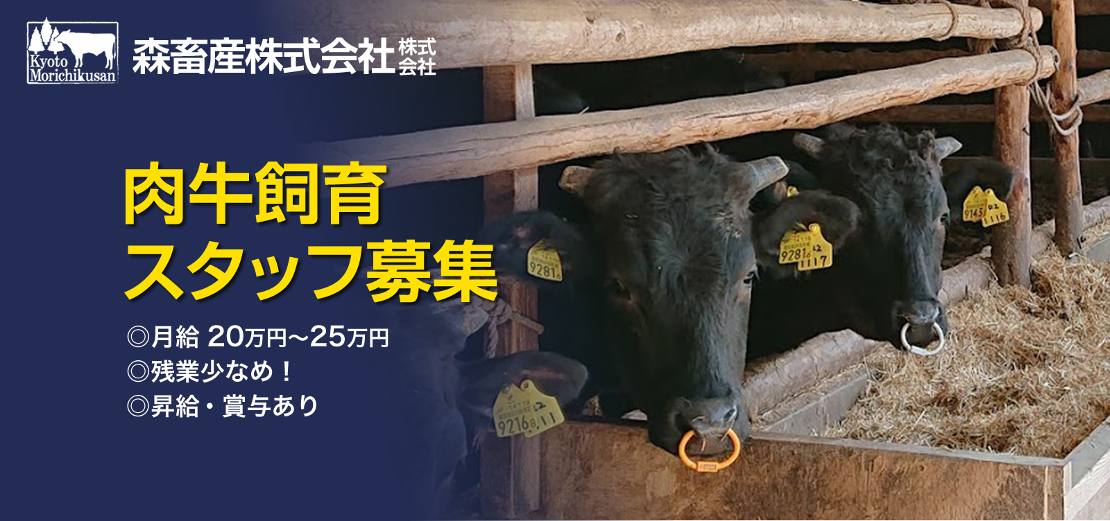 京都府南丹市 / 肉牛の飼育管理スタッフの求人情報